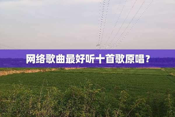 网络歌曲最好听十首歌原唱？