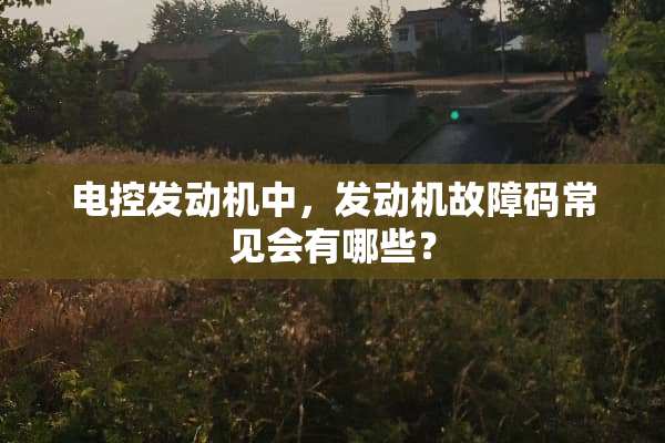 电控发动机中，发动机故障码常见会有哪些？