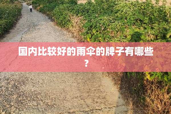 国内比较好的雨伞的牌子有哪些？