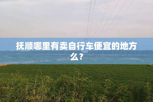 抚顺哪里有卖自行车便宜的地方么？