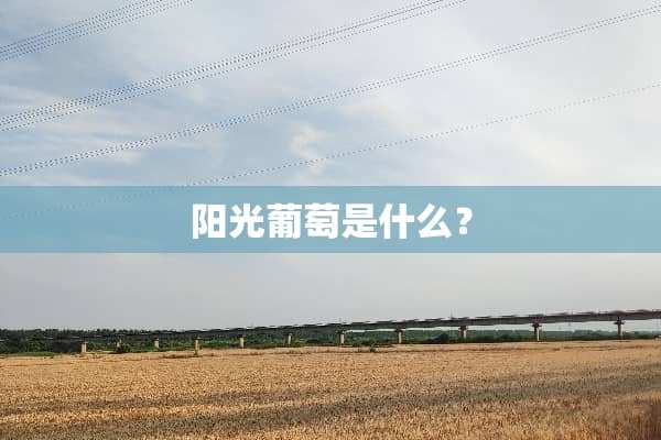 阳光葡萄是什么？