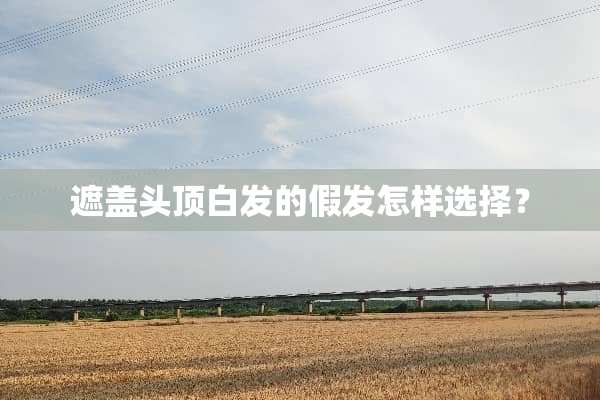遮盖头顶白发的假发怎样选择？