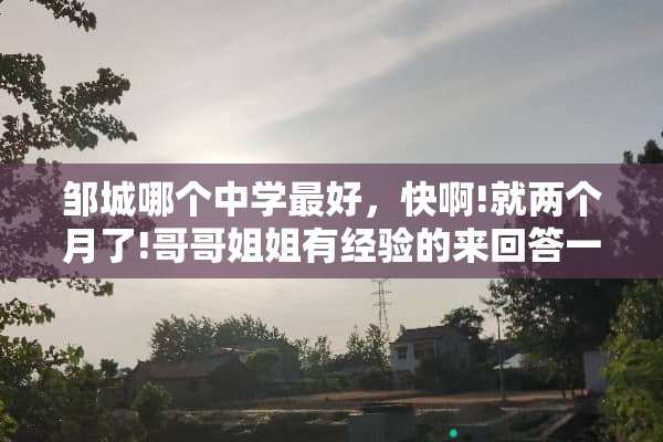 邹城哪个中学最好，快啊!就两个月了!哥哥姐姐有经验的来回答一下哦？