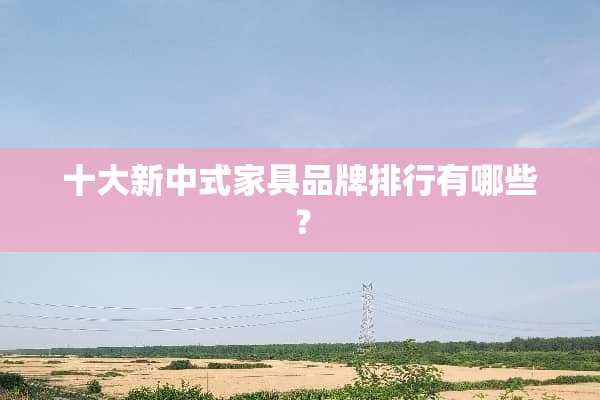十大新中式家具品牌排行有哪些？