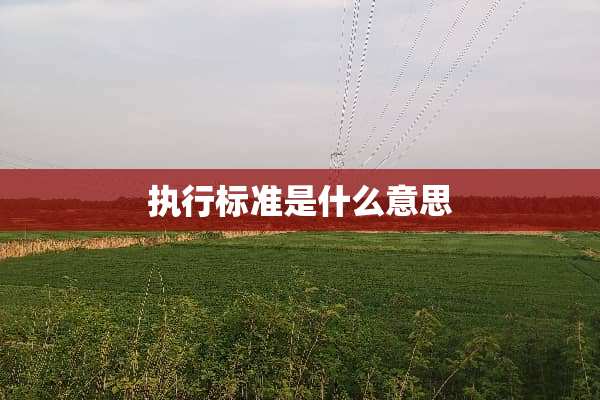 执行标准是什么意思