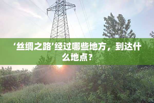 ‘丝绸之路’经过哪些地方，到达什么地点？