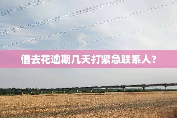 借去花逾期几天打紧急联系人？