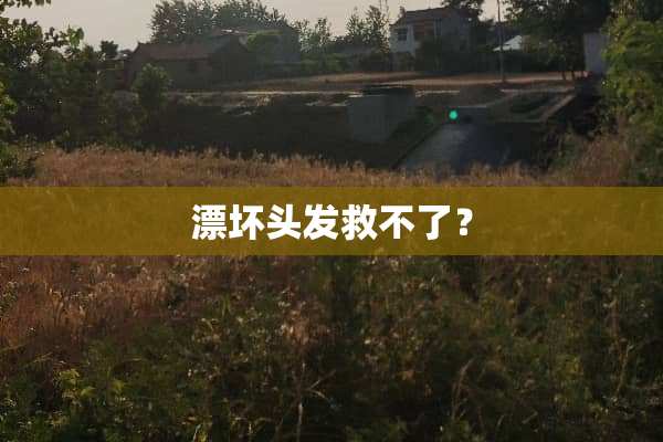 漂坏头发救不了？