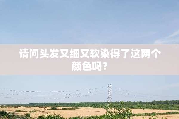 请问头发又细又软染得了这两个颜色吗？