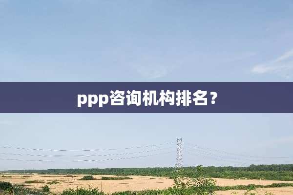 ppp咨询机构排名？