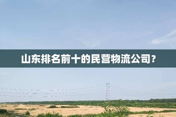 山东排名前十的民营物流公司？