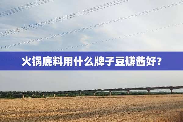 火锅底料用什么牌子豆瓣酱好？