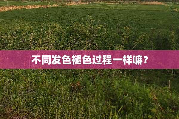 不同发色褪色过程一样嘛？