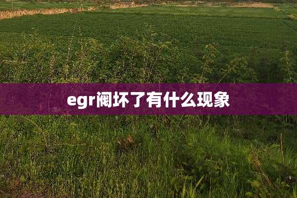 egr阀坏了有什么现象