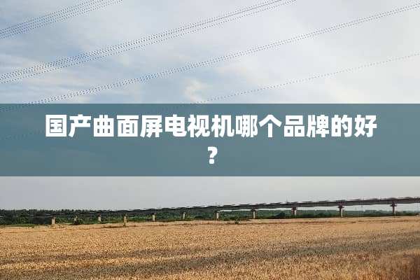 国产曲面屏电视机哪个品牌的好？