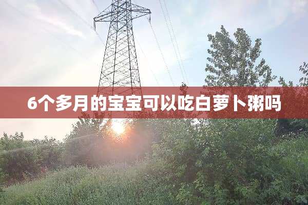 6个多月的宝宝可以吃白萝卜粥吗