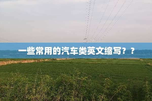 一些常用的汽车类英文缩写？？