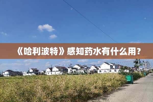 《哈利波特》感知药水有什么用？