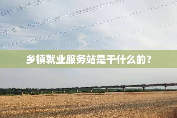 乡镇就业服务站是干什么的？