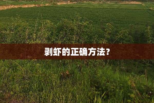 剥虾的正确方法？