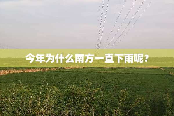 今年为什么南方一直下雨呢？
