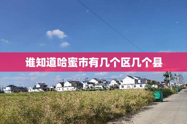 谁知道哈蜜市有几个区几个县
