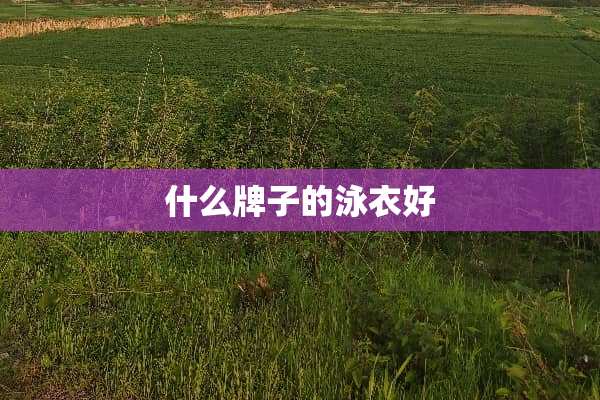 什么牌子的泳衣好