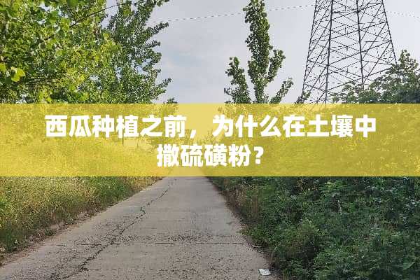 西瓜种植之前，为什么在土壤中撒硫磺粉？