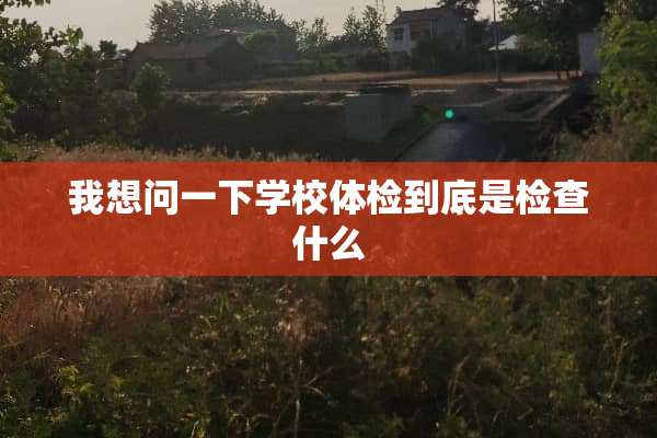 我想问一下学校体检到底是检查什么