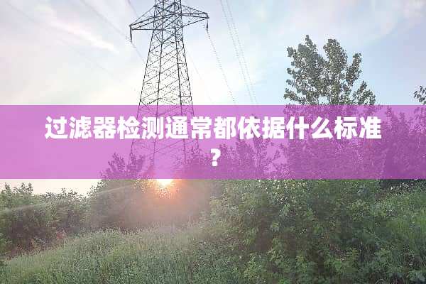 过滤器检测通常都依据什么标准？
