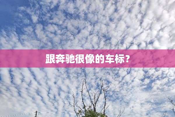 跟奔驰很像的车标？
