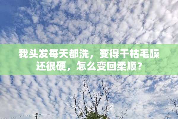 我头发每天都洗，变得干枯毛躁还很硬，怎么变回柔顺？