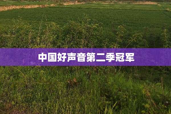中国好声音第二季冠军