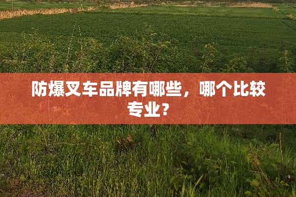 防爆叉车品牌有哪些，哪个比较专业？