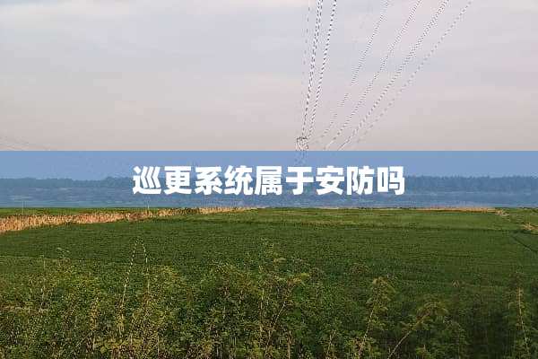 巡更系统属于安防吗