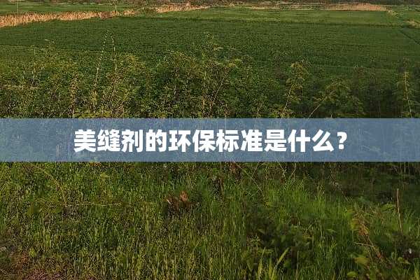 美缝剂的环保标准是什么？