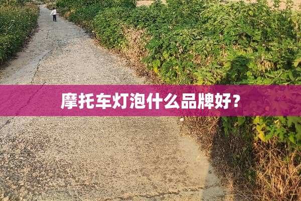 摩托车灯泡什么品牌好？