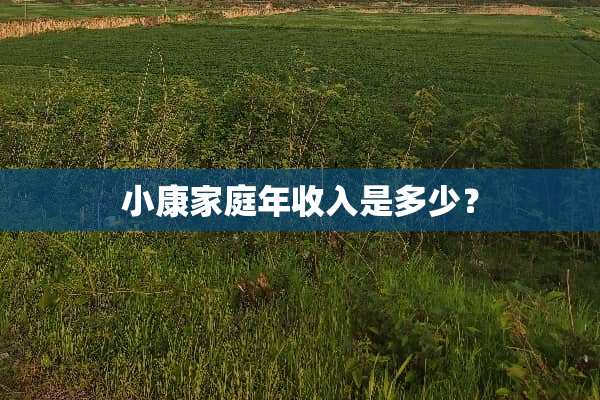 小康家庭年收入是多少？