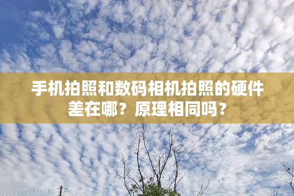 手机拍照和数码相机拍照的硬件差在哪？原理相同吗？
