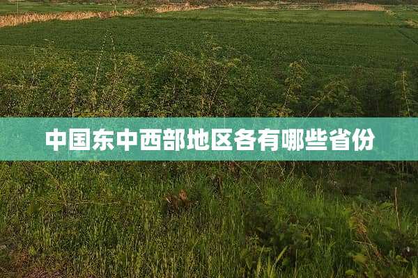 中国东中西部地区各有哪些省份
