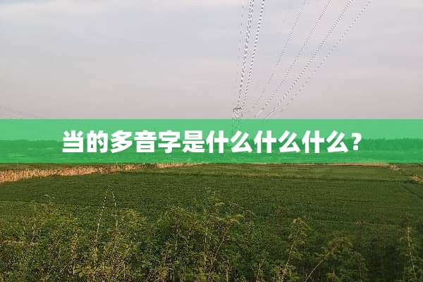 当的多音字是什么什么什么？