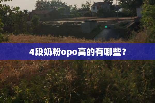 4段奶粉opo高的有哪些？