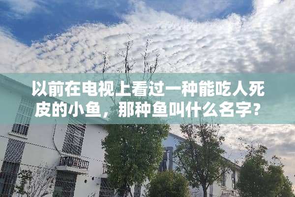 以前在电视上看过一种能吃人死皮的小鱼，那种鱼叫什么名字？