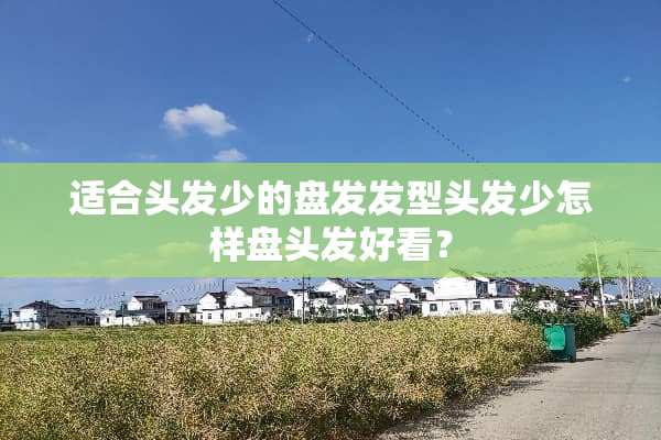 适合头发少的盘发发型头发少怎样盘头发好看？