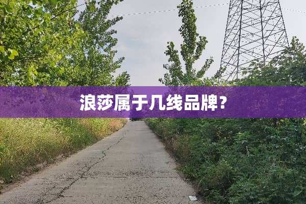 浪莎属于几线品牌？