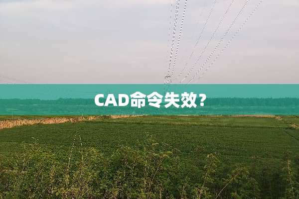CAD命令失效？