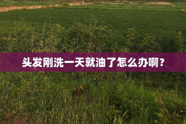头发刚洗一天就油了怎么办啊？