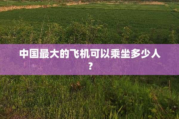 中国最大的飞机可以乘坐多少人？