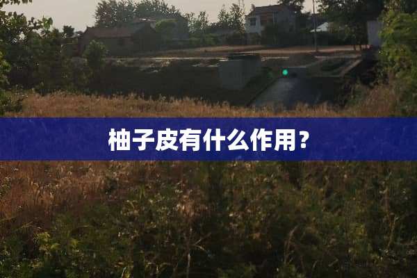 柚子皮有什么作用？