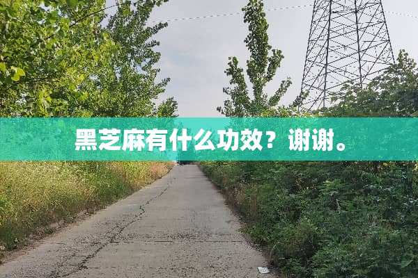 黑芝麻有什么功效？谢谢。